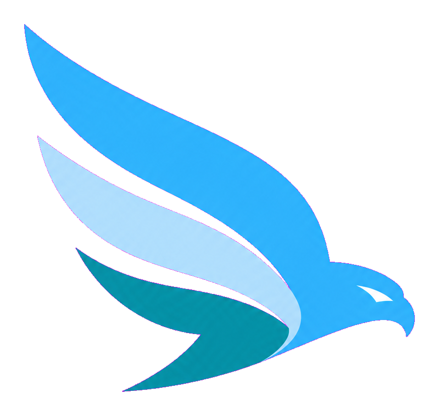 Falcon X VPN
